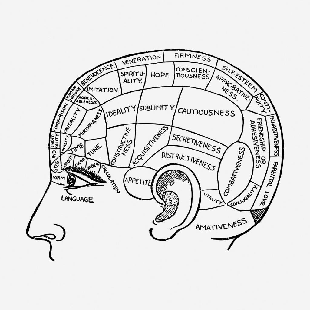 Vintage line drawing of a human head labelled with traits such as benevolence and cautiousness, historically used by phrenologists